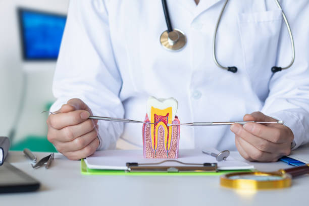Best Emergency Root Canal Treatment in Wausau, WI